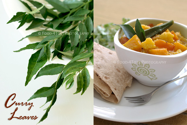 curry leaves, lentil, curry, dhal, dal, chappati, food for toddlers, Food For Tots
