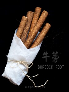 burdock root, burdock root soup, burdock soup, gobo, greater burdock, Chinese soup, toddler, food-4tots